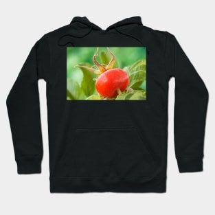 Rosa rugosa  &#39;Alba&#39;  AGM  Rose hip Hoodie